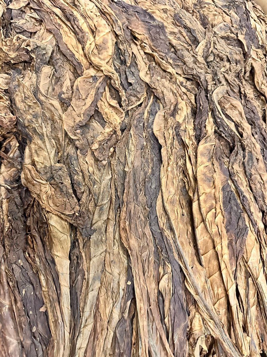Cured whole leaf tobacco, wholesale